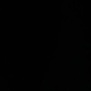 Meet your Posher, Sophia